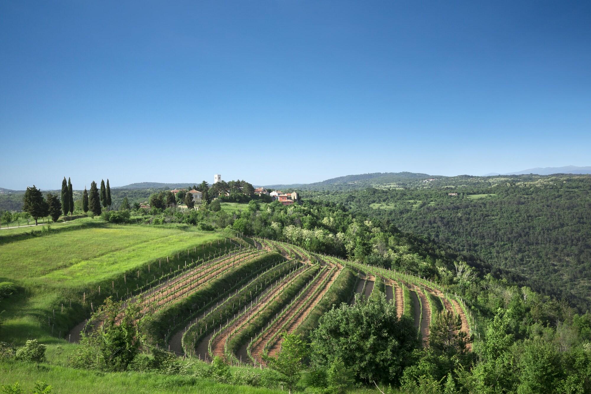 B&B Palazzo Angelica Adults Only Oprtalj Esterno foto